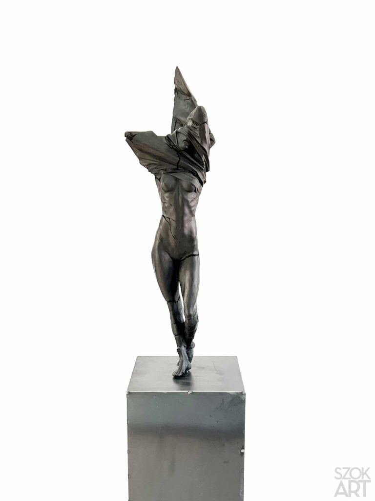 Tomasz Górnicki-EXESA III